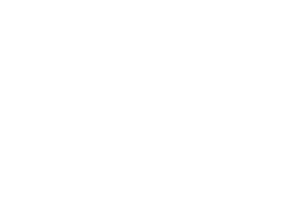 Real authentic Values